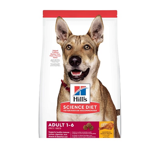 Hills Adulto