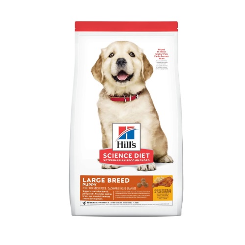 Puppy Large Breed 1