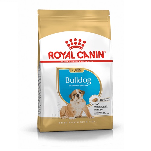 RC Bulldog Puppy