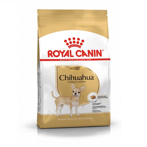 RC Chihuahua Adulto