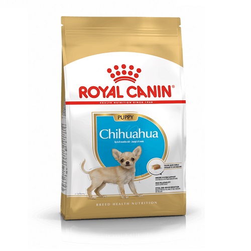 RC Chihuahua Puppy