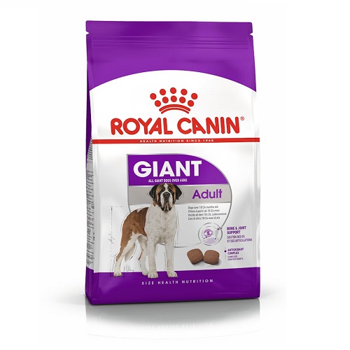 RC GIANT ADULT