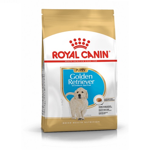 RC Golden Puppy