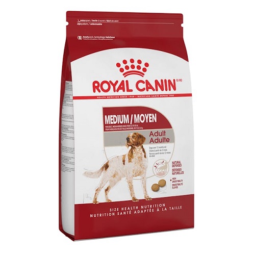 RC Medium Adult