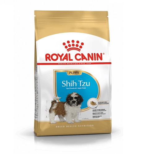 RC Shihtzu Puppy