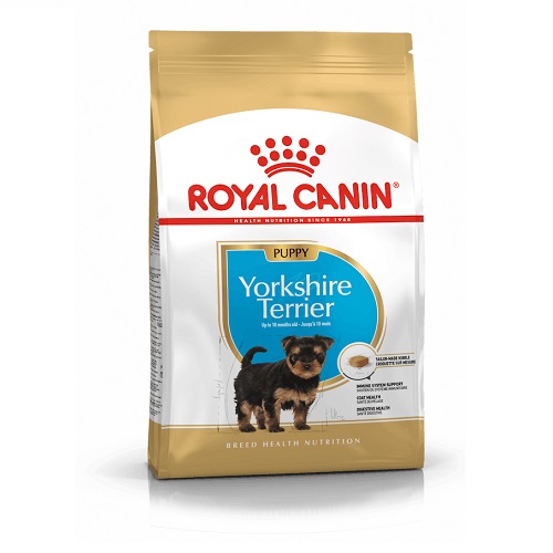 RC Yorkshire Puppy